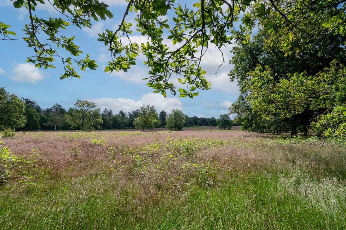 Landhuisje 31 'De Akkersteen' Bospark Ijsselheide Zwolle Hattemerbroek Экстерьер фото