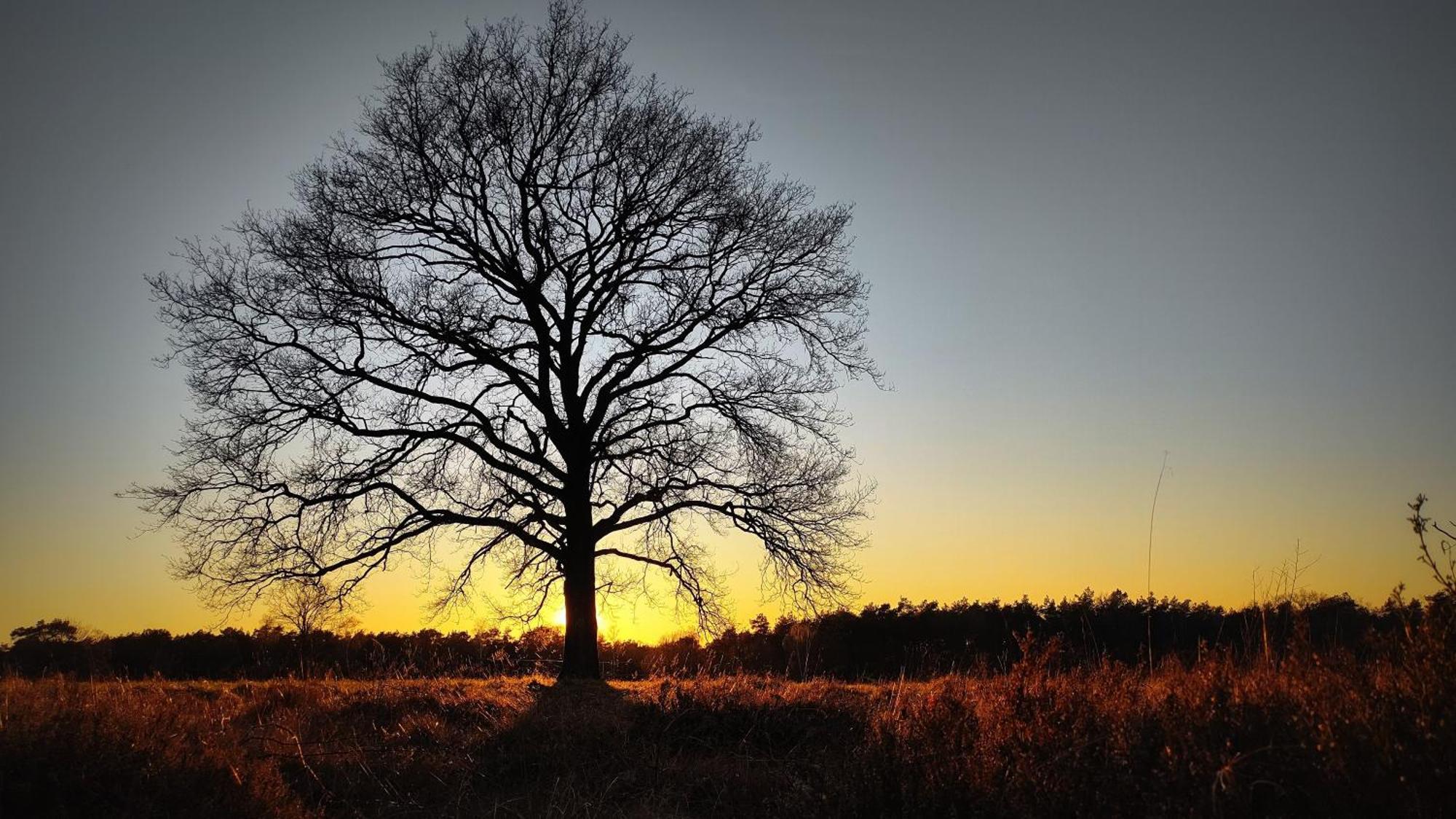 Landhuisje 31 'De Akkersteen' Bospark Ijsselheide Zwolle Hattemerbroek Экстерьер фото